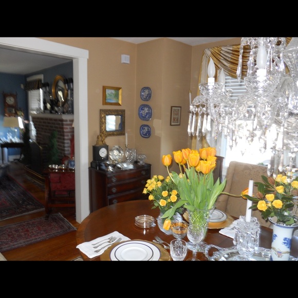 Meet your Posher, Luka - Picture 6 of 17